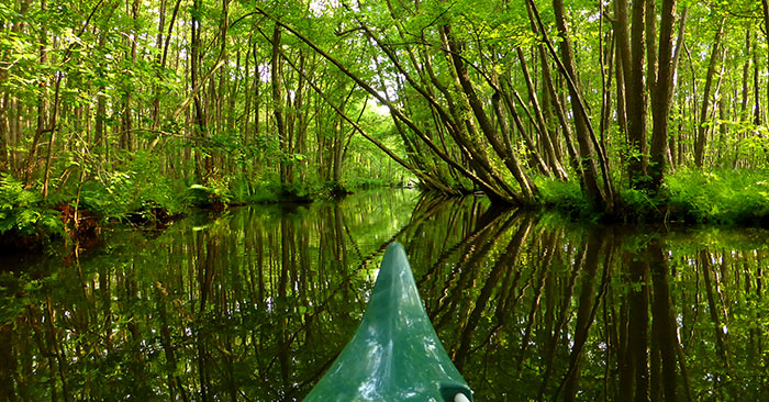 boot schweriner see